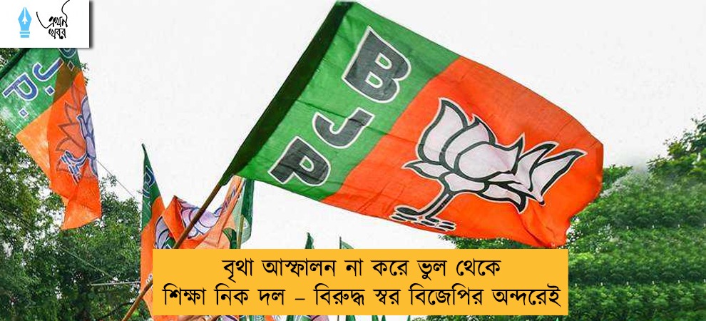 বৃথা আস্ফালন না করে ভুল থেকে শিক্ষা নিক দল – বিরুদ্ধ স্বর বিজেপির অন্দরেই