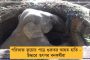 এবার পাখির চোখ ভাটপাড়া – গারুলিয়া পুরসভা পুনরুদ্ধারের পর জানালেন জ্যোতিপ্রিয়