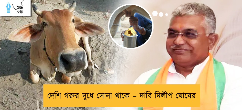 দেশি গরুর দুধে সোনা থাকে – দাবি দিলীপ ঘোষের