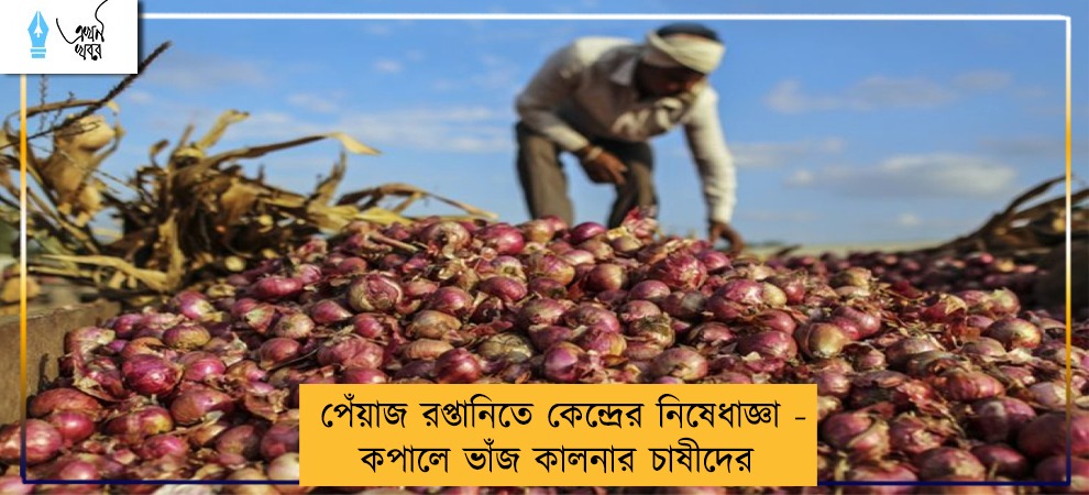 পেঁয়াজ রপ্তানিতে কেন্দ্রের নিষেধাজ্ঞা - কপালে ভাঁজ  কালনার চাষীদের