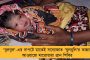 'বুলবুল'-এর তান্ডবে কতটা ক্ষতি হয়েছে বাংলায়? - রিপোর্ট এল নবান্নে