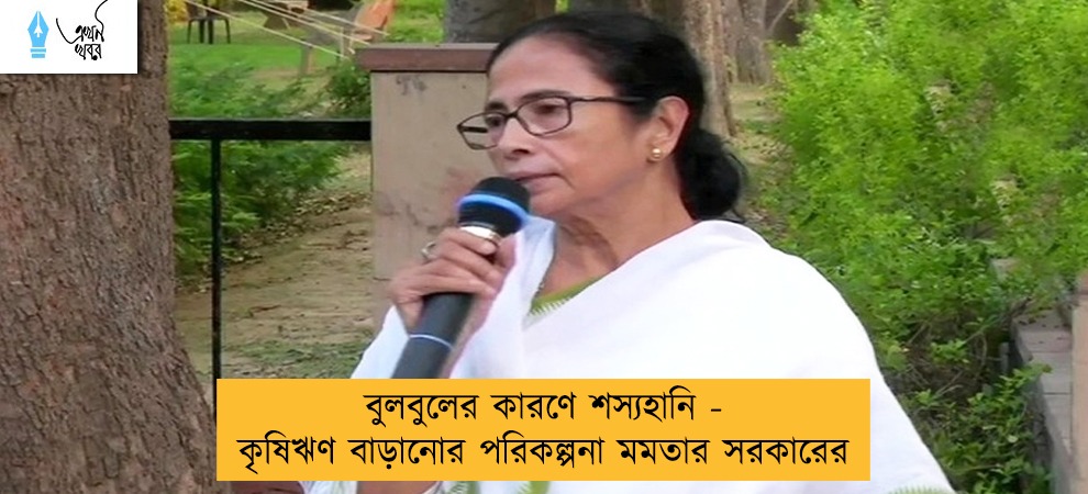 বুলবুলের কারণে শস্যহানি - কৃষিঋণ বাড়ানোর পরিকল্পনা মমতার সরকারের