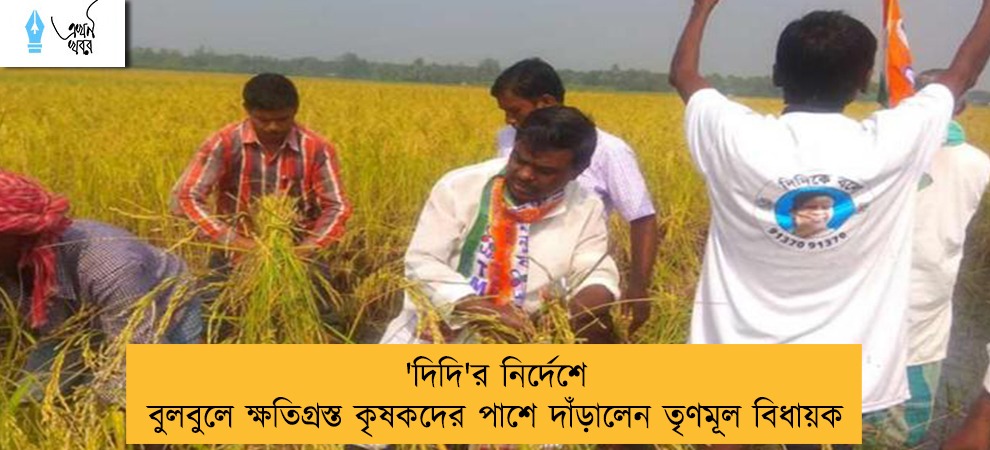 'দিদি'র নির্দেশে বুলবুলে ক্ষতিগ্রস্ত কৃষকদের পাশে দাঁড়ালেন তৃণমূল বিধায়ক
