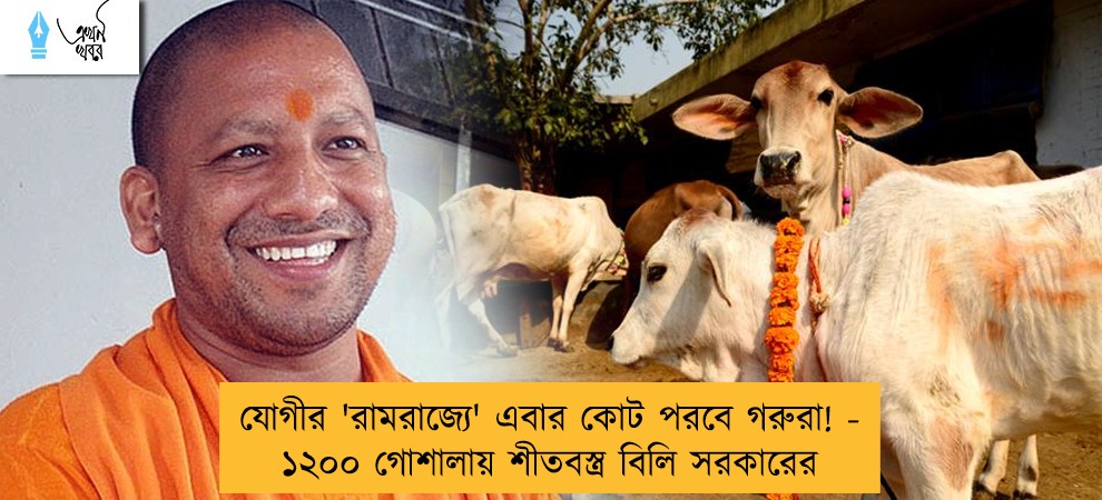 যোগীর 'রামরাজ্যে' এবার কোট পরবে গরুরা! - ১২০০ গোশালায় শীতবস্ত্র বিলি সরকারের