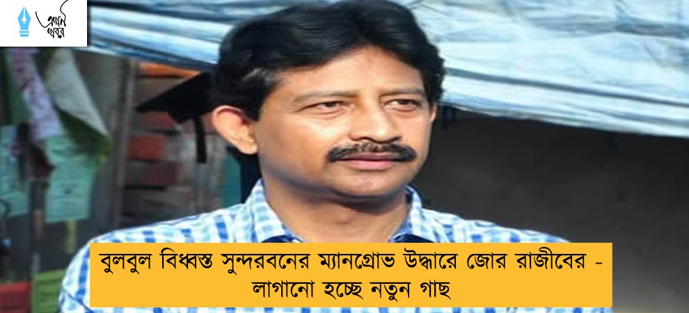 বুলবুল বিধ্বস্ত সুন্দরবনের ম্যানগ্রোভ উদ্ধারে জোর রাজীবের - লাগানো হচ্ছে নতুন গাছ