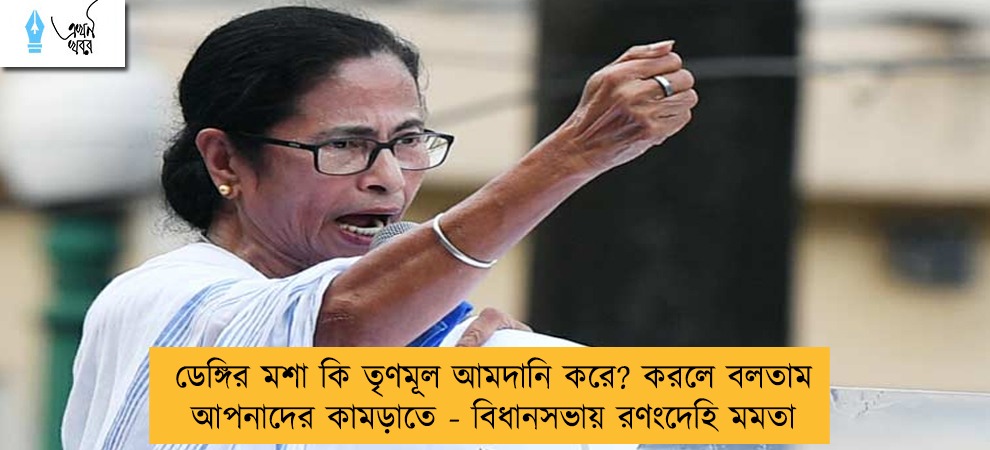 ডেঙ্গির মশা কি তৃণমূল আমদানি করে? করলে বলতাম আপনাদের কামড়াতে - বিধানসভায় রণংদেহি মমতা