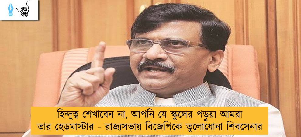 হিন্দুত্ব শেখাবেন না, আপনি যে স্কুলের পড়ুয়া আমরা তার হেডমাস্টার - রাজ্যসভায় বিজেপিকে তুলোধোনা শিবসেনার