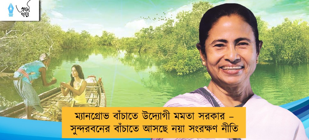 ম্যানগ্রোভ বাঁচাতে উদ্যোগী মমতা সরকার – সুন্দরবনের বাঁচাতে আসছে নয়া  সংরক্ষণ নীতি
