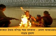 কনকনে ঠান্ডায় কাঁপছে শহর কলকাতা - মেঘলা আবহাওয়ায় বাড়ছে কুয়াশা