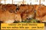 মধ্যবিত্তদের সুবিধার্থে নয়া উদ্যোগ রাজ্যের - আরও সহজ হচ্ছে বাড়ি তৈরির নিয়ম, জানালো পুরসভা