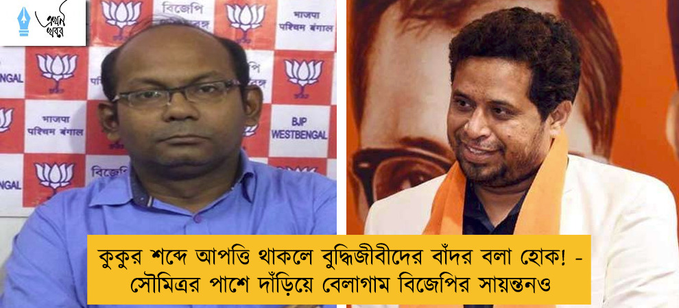 কুকুর শব্দে আপত্তি থাকলে বুদ্ধিজীবীদের বাঁদর বলা হোক! - সৌমিত্রর পাশে দাঁড়িয়ে বেলাগাম বিজেপির সায়ন্তনও
