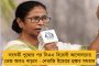 ৯৪৬ টি কবিতা নিয়ে ‘কবিতাবিতান’ - মমতার নতুন বই প্রকাশ হবে বইমেলায়