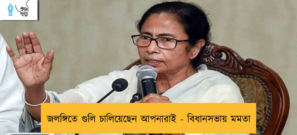 জলঙ্গিতে গুলি চালিয়েছেন আপনারাই - বিধানসভায় মমতা