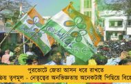 পুরভোটে জেতা আসন ধরে রাখতে সক্রিয় তৃণমূল - নেতৃত্বের অনভিজ্ঞতায় অনেকটাই পিছিয়ে বিজেপি