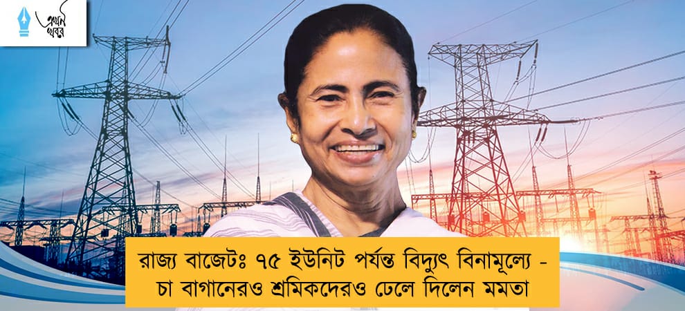 রাজ্য বাজেটঃ ৭৫ ইউনিট পর্যন্ত বিদ্যুৎ বিনামূল্যে -  চা বাগানেরও শ্রমিকদেরও ঢেলে দিলেন মমতা