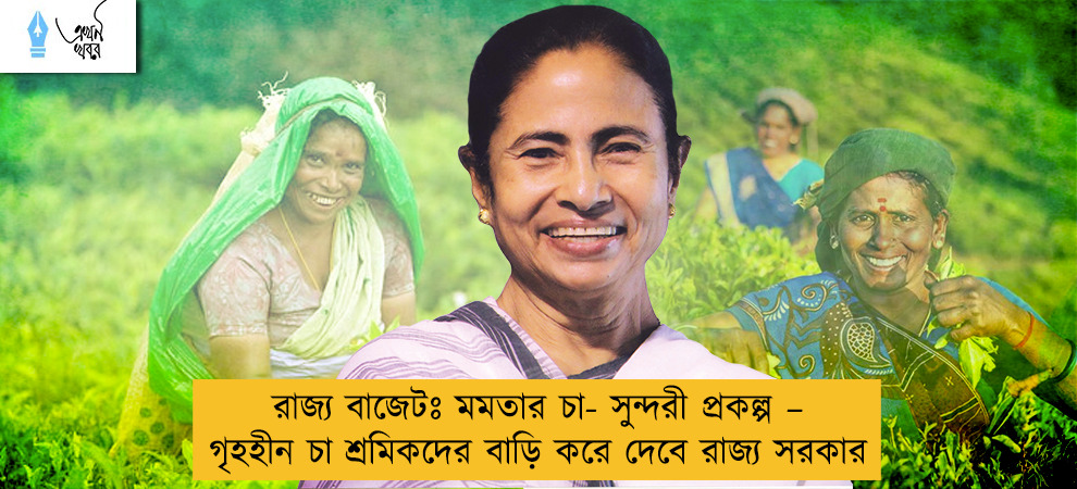 রাজ্য বাজেটঃ মমতার চা- সুন্দরী প্রকল্প – গৃহহীন চা শ্রমিকদের বাড়ি করে দেবে রাজ্য সরকার