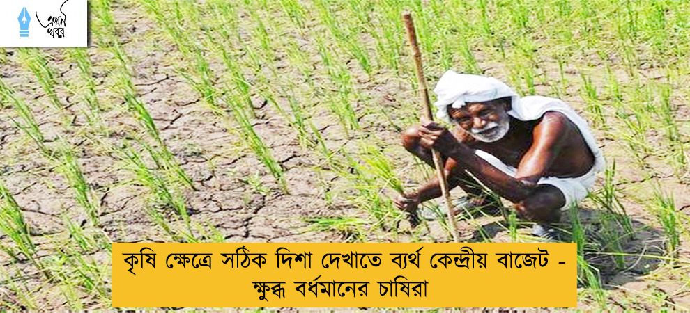 কৃষি ক্ষেত্রে সঠিক দিশা দেখাতে ব্যর্থ কেন্দ্রীয় বাজেট - ক্ষুব্ধ বর্ধমানের চাষিরা