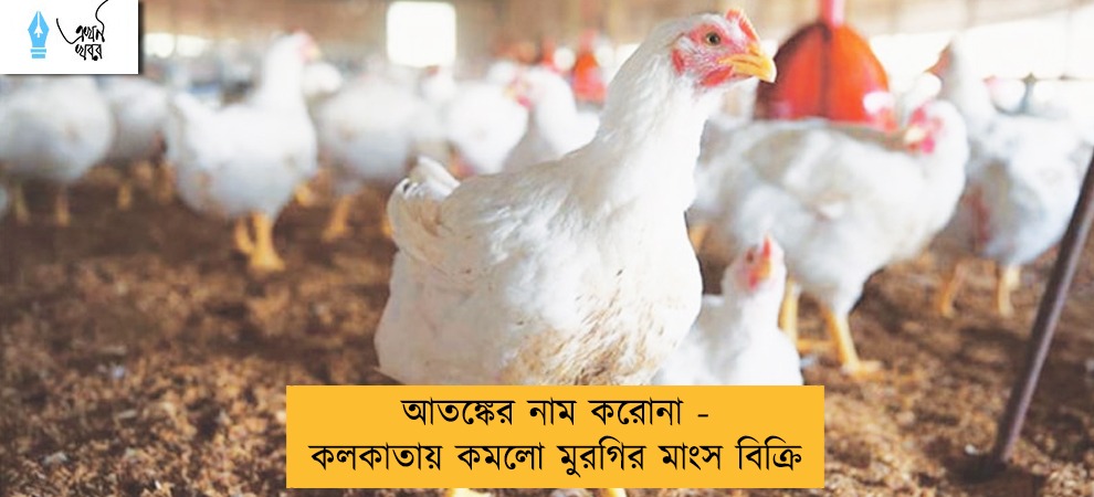 আতঙ্কের নাম করোনা - কলকাতায় কমলো মুরগির মাংস বিক্রি