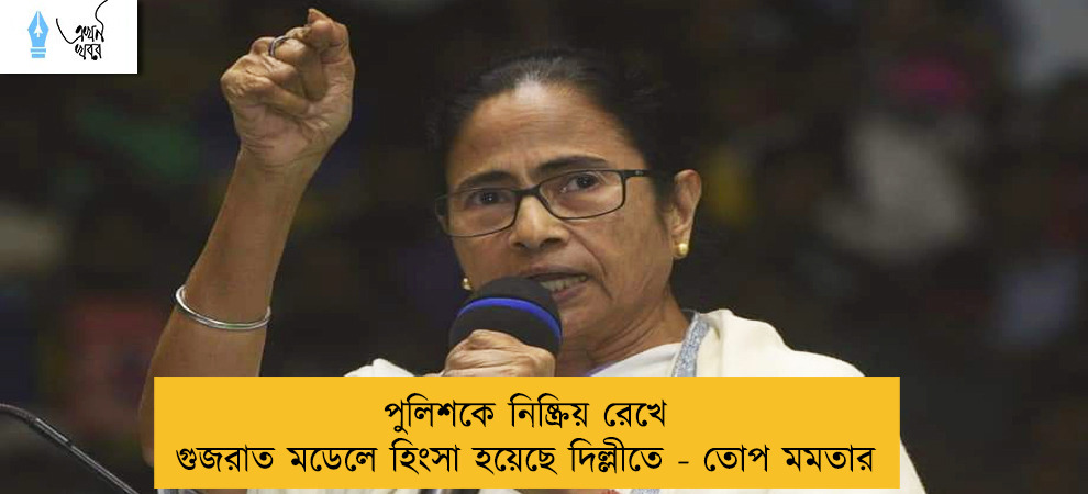 পুলিশকে নিষ্ক্রিয় রেখে গুজরাত মডেলে হিংসা হয়েছে দিল্লীতে - তোপ মমতার