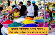 করোনা ভাইরাসকে থোড়াই কেয়ার - চীনা আবির-পিচকারীতে মাতছে কলকাতা