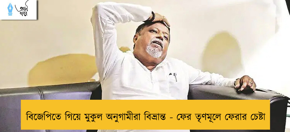 বিজেপিতে গিয়ে মুকুল অনুগামীরা বিভ্রান্ত - ফের তৃণমূলে ফেরার চেষ্টা