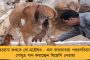 কেন্দ্রীয় শিক্ষানীতির সবটাই আপত্তিকর, রাজ্য নিজস্ব খসড়া বানিয়েছে – জানালেন শিক্ষামন্ত্রী