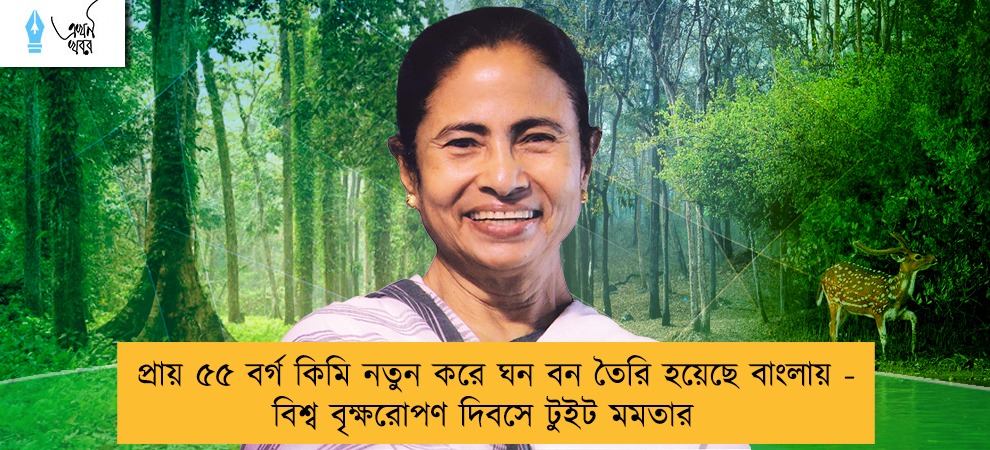 প্রায় ৫৫ বর্গ কিমি নতুন করে ঘন বন তৈরি হয়েছে বাংলায় - বিশ্ব বৃক্ষরোপণ দিবসে টুইট মমতার