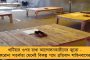 করোনা সংক্রমণ রুখতে পিছু হঠার সিদ্ধান্ত - আন্দোলন স্থগিত রাখলেন লখনউয়ের ঘণ্টাঘরের প্রতিবাদীরা