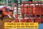 লকডাউনে ম্যাঞ্চেস্টারে খাবার পাচ্ছে না শিশুরা - খাদ্যসামগ্রী বিতরণ র‍্যাশফোর্ডের