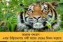 বিশ্বের প্রথম দেশ হিসেবে আমরাই মহামারী উদযাপন করছি - মোদীর কর্মসূচিকে তীব্র কটাক্ষ অভিষেকের