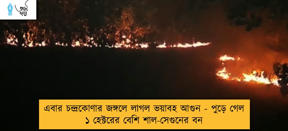 এবার চন্দ্রকোণার জঙ্গলে লাগল ভয়াবহ আগুন - পুড়ে গেল ১ হেক্টরের বেশি শাল-সেগুনের বন
