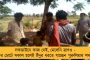 রাজ্যের সব স্কুল-কলেজ ১০ জুন পর্যন্ত বন্ধ, লকডাউনে কৃষি ও হোম ডেলিভারিতে ছাড় - মমতা
