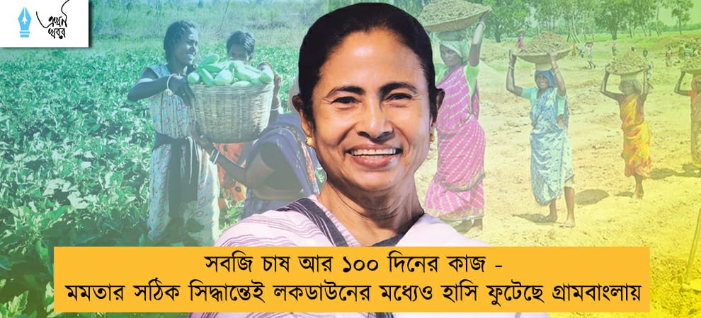 সবজি চাষ আর ১০০ দিনের কাজ -  মমতার সঠিক সিদ্ধান্তেই লকডাউনের মধ্যেও হাসি ফুটেছে গ্রামবাংলায়