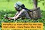 বাড়ি ফেরার পথে পিষে দিল বেপরোয়া গাড়ি - ইউপি-হরিয়ানাতে মৃত ২ পরিযায়ী শ্রমিক