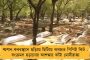 করোনার মধ্যেই গ্রাম বাংলার অর্থনীতির জাগরণ ঘটাতে হবে - জীবন-জীবিকা চালুর বার্তা মমতার