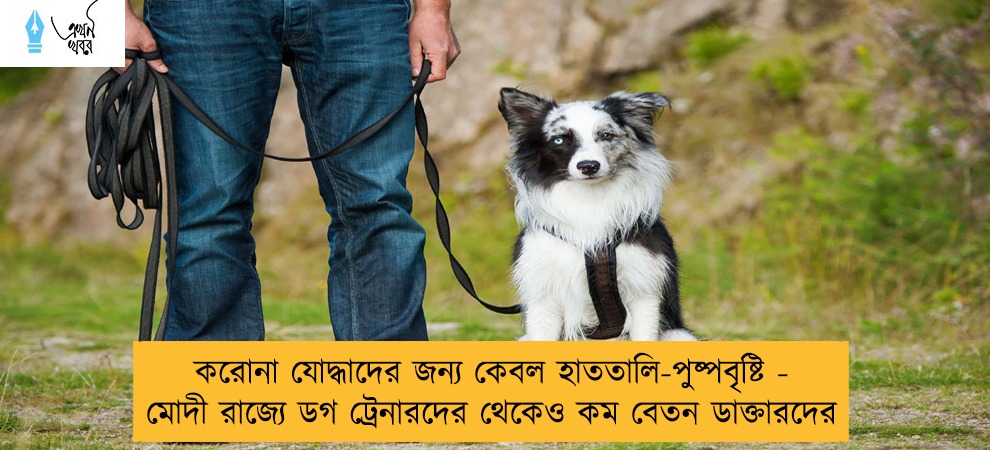 করোনা যোদ্ধাদের জন্য কেবল হাততালি-পুষ্পবৃষ্টি - মোদী রাজ্যে ডগ ট্রেনারদের থেকেও কম বেতন ডাক্তারদের