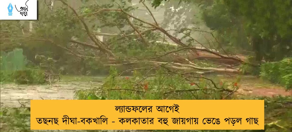 ল্যান্ডফলের আগেই তছনছ দীঘা-বকখালি - কলকাতার বহু জায়গায় ভেঙে পড়ল গাছ