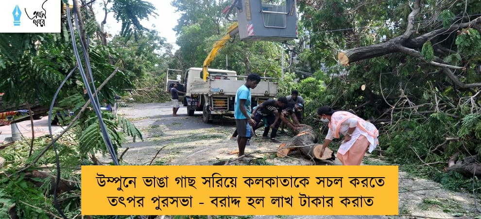 উম্পুনে ভাঙা গাছ সরিয়ে কলকাতাকে সচল করতে তৎপর পুরসভা - বরাদ্দ হল লাখ টাকার করাত