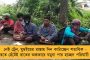উম্পুনে ভাঙা গাছ সরিয়ে কলকাতাকে সচল করতে তৎপর পুরসভা - বরাদ্দ হল লাখ টাকার করাত