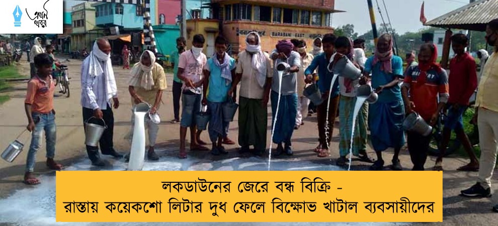 লকডাউনের জেরে বন্ধ বিক্রি - রাস্তায় কয়েকশো লিটার দুধ ফেলে বিক্ষোভ খাটাল ব্যবসায়ীদের