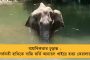 মুম্বইয়ে আছড়ে পড়ল বিধ্বংসী ঘূর্ণিঝড় 'নিসর্গ' - আগামী কয়েকঘণ্টা চলবে প্রবল তাণ্ডব