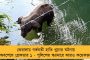 পরিকাঠামো তৈরিতে পিছিয়ে পড়েছি, রেলের আয়ে করোনার প্রভাব হিসেব করার সময় আসেনি - মত রেলমন্ত্রীর