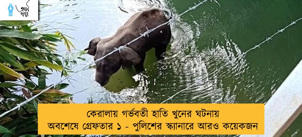 কেরালায় গর্ভবতী হাতি খুনের ঘটনায় অবশেষে গ্রেফতার ১ - পুলিশের স্ক্যানারে আরও কয়েকজন