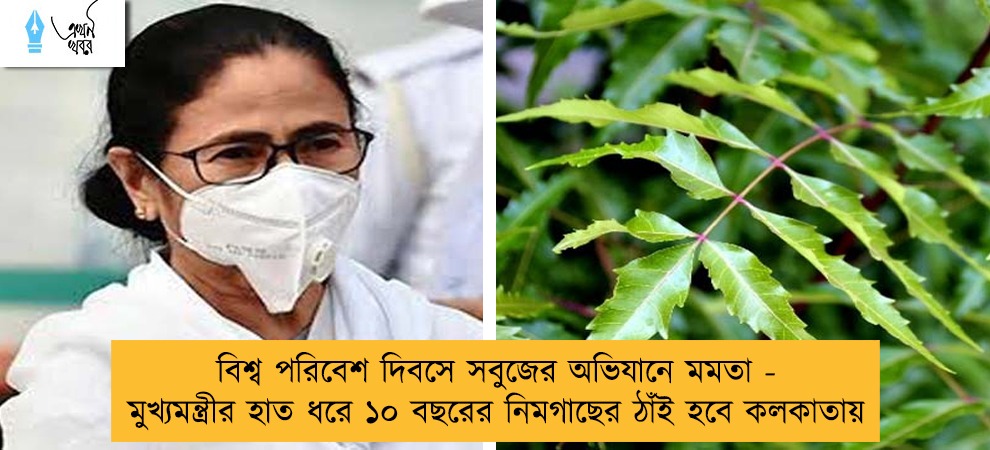 বিশ্ব পরিবেশ দিবসে সবুজের অভিযানে মমতা - মুখ্যমন্ত্রীর হাত ধরে ১০ বছরের নিমগাছের ঠাঁই হবে কলকাতায়