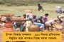 জীবন বাঁচাতে সবুজ বাঁচান - পরিবেশ দিবসে নতুন স্লোগানে রাজ্যবাসীকে শুভেচ্ছাবার্তা মমতার