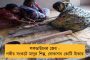 ফের উত্তপ্ত ভুস্বর্গ - সোপিয়ানে সেনার গুলিতে নিকেশ চার সন্ত্রাসবাদী, শেষ ২৪ ঘণ্টায় খতম ৯ জন