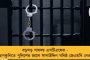 ভারত ইচ্ছা করে হেরেছিল, এমনটা আমি ভাবি না - ধোনির পাশে দাঁড়ালেন কিংবদন্তি হোল্ডিং