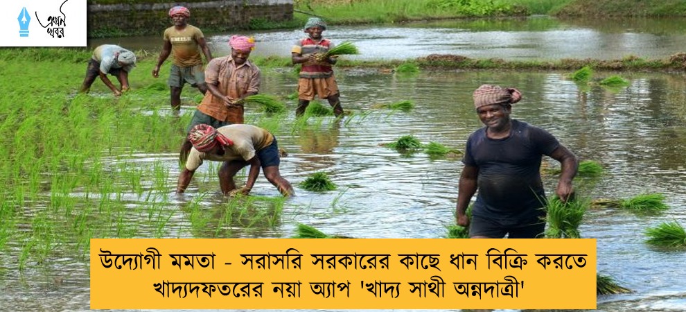উদ্যোগী মমতা - সরাসরি সরকারের কাছে ধান বিক্রি করতে খাদ্যদফতরের নয়া অ্যাপ 'খাদ্য সাথী অন্নদাত্রী'