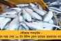 চলতি বছরের টি-২০ বিশ্বকাপের আয়োজক হতে তৈরি - জানাল করোনামুক্ত নিউজিল্যান্ড