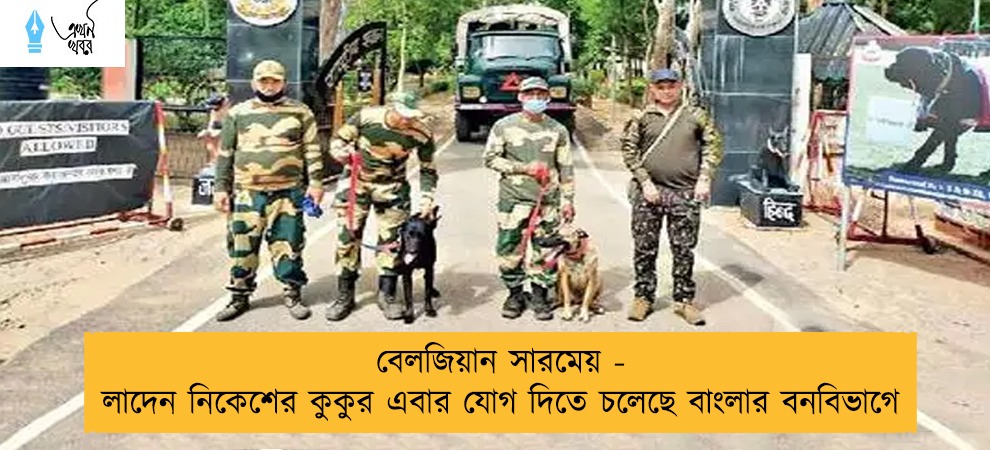 বেলজিয়ান সারমেয় - লাদেন নিকেশের কুকুর এবার যোগ দিতে চলেছে বাংলার বনবিভাগে